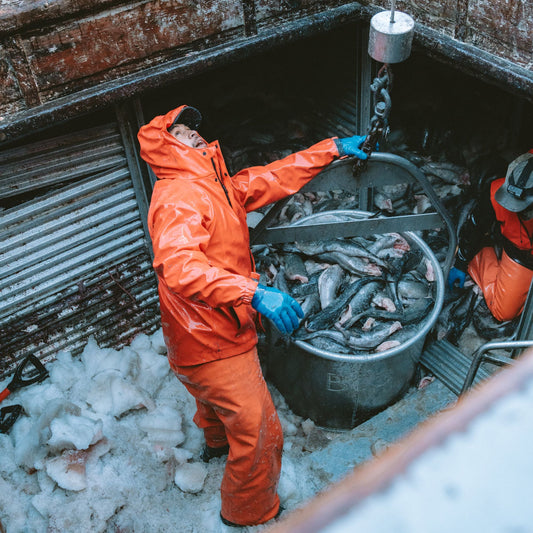 Neptune Waterproof Jacket