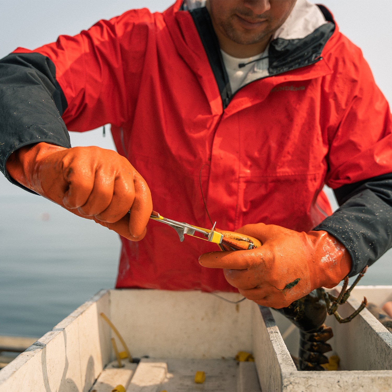 Dreadnought Waterproof & Breathable Commercial Shell Jacket